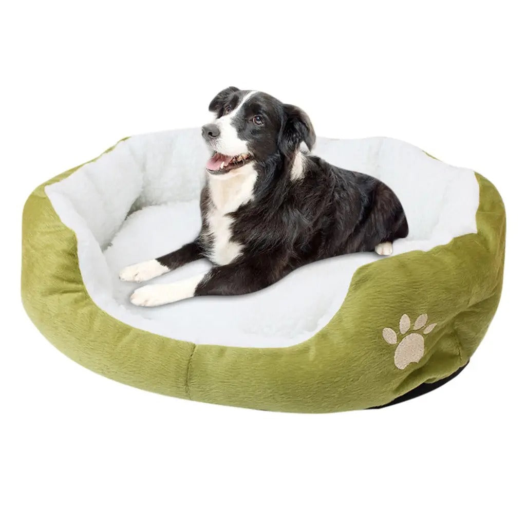 Teddy Bichon Pet Bed