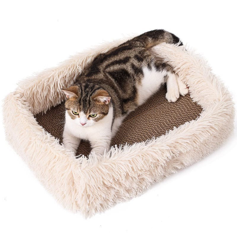 Cat Scratcher Bed