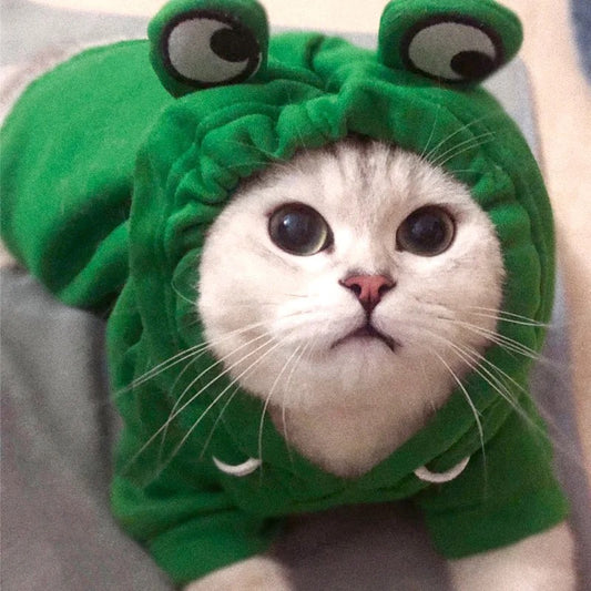 Cats Cosplay Animal