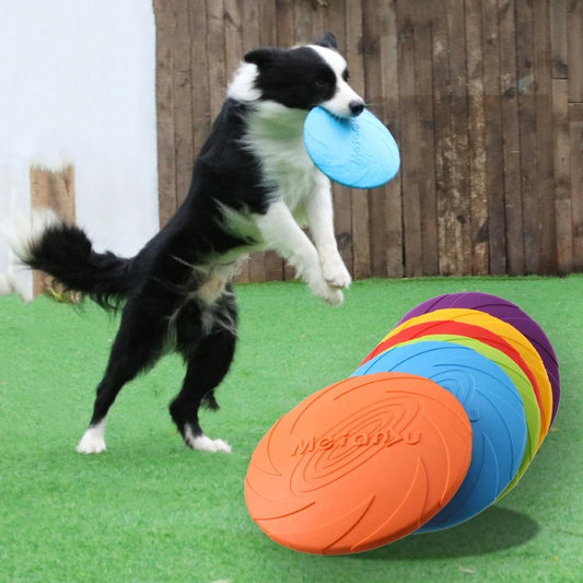 Dog Flying Disc