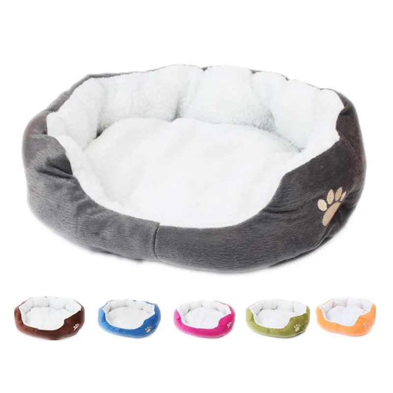 Teddy Bichon Pet Bed