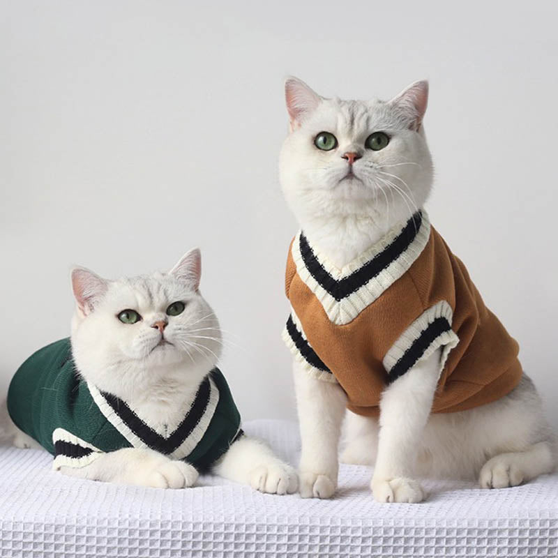 Cat Sweater Pullover Winter