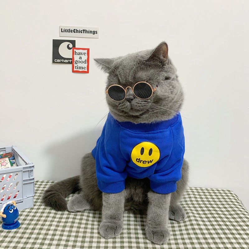 Cat Sweatshirt Smiling Face