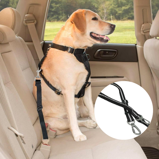 DOYOO Dog Seat Belt