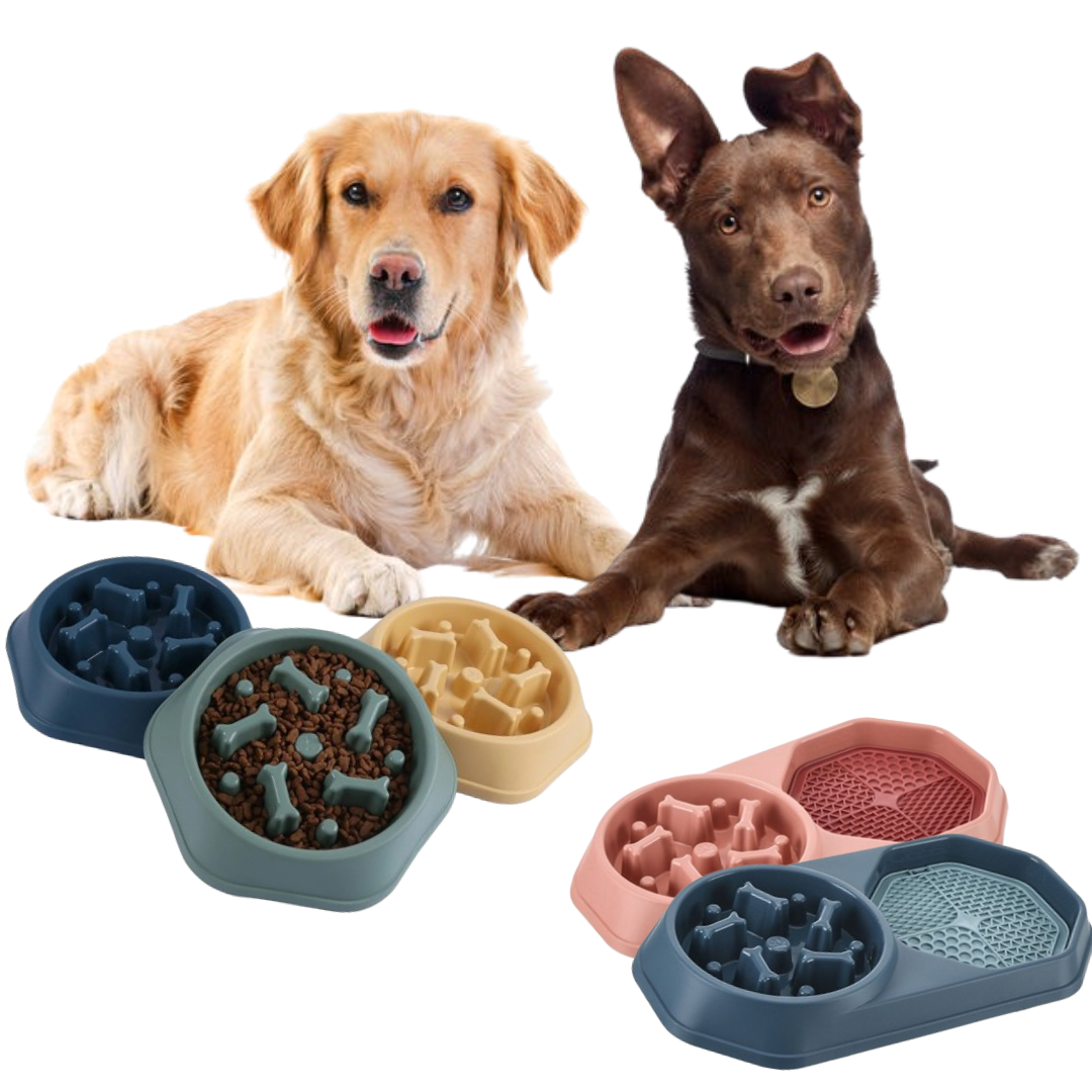 Dog Slow Feeder and drinking Bowl