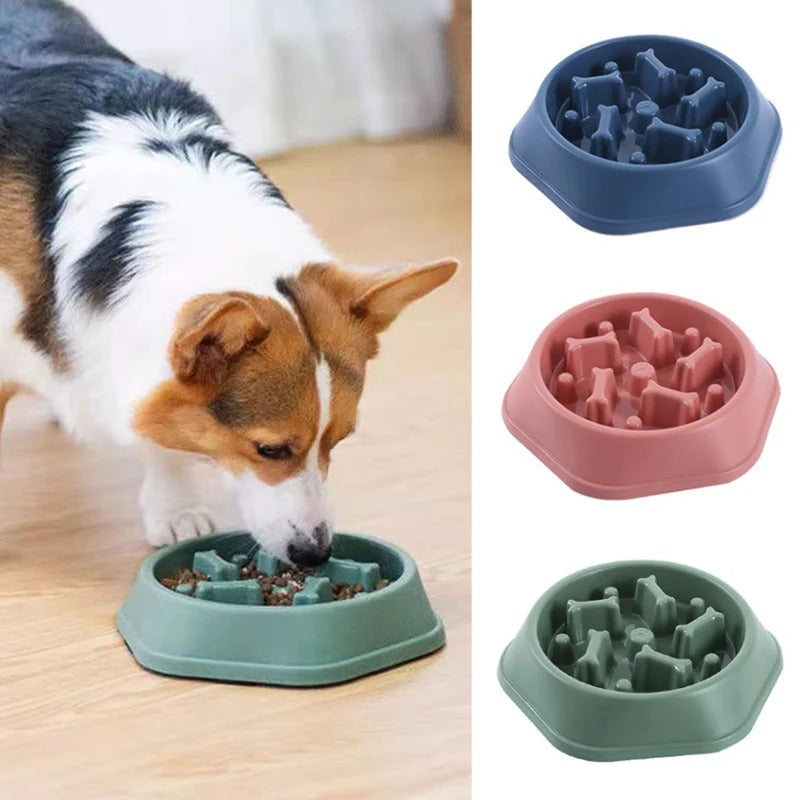 Dog Slow Feeder and drinking Bowl