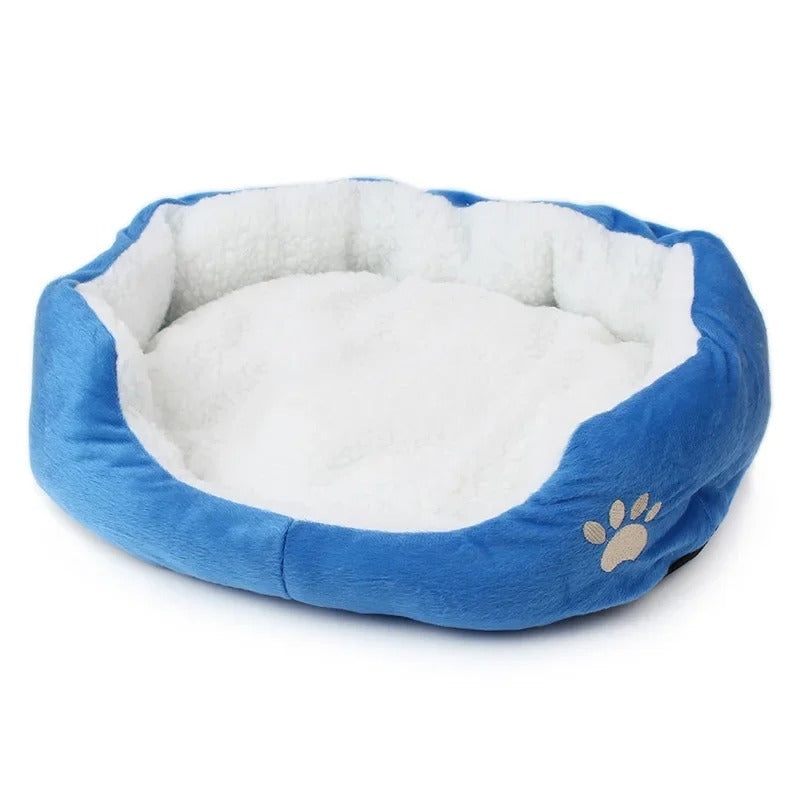 Teddy Bichon Pet Bed