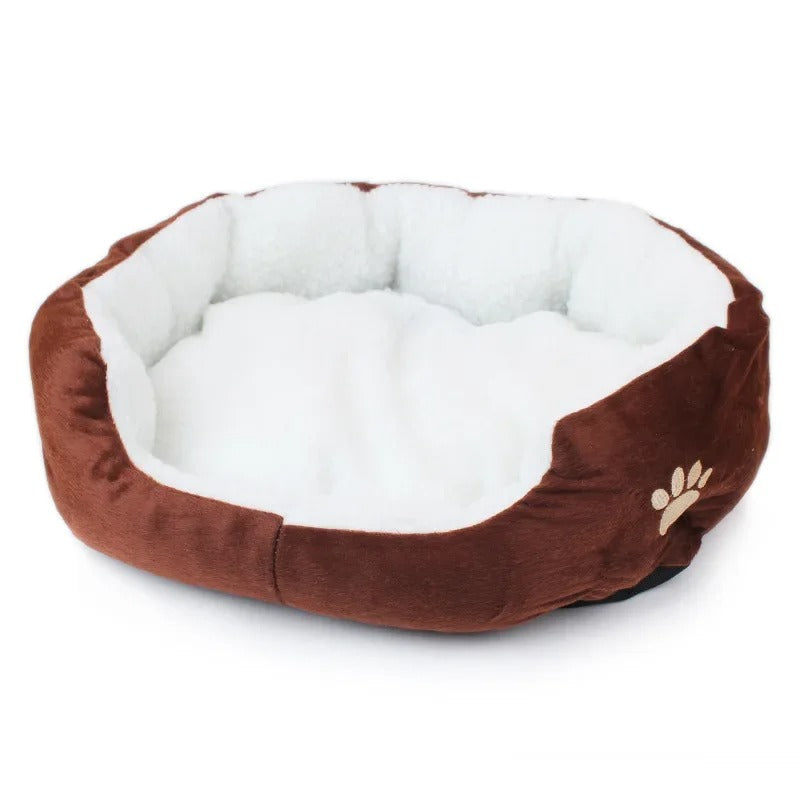 Teddy Bichon Pet Bed