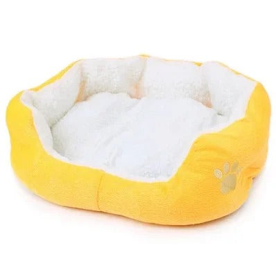 Teddy Bichon Pet Bed