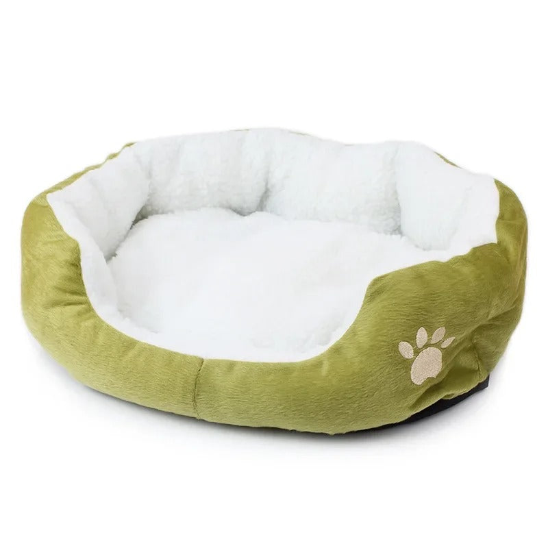 Teddy Bichon Pet Bed