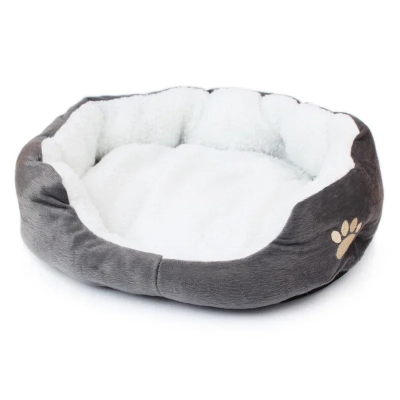 Teddy Bichon Pet Bed