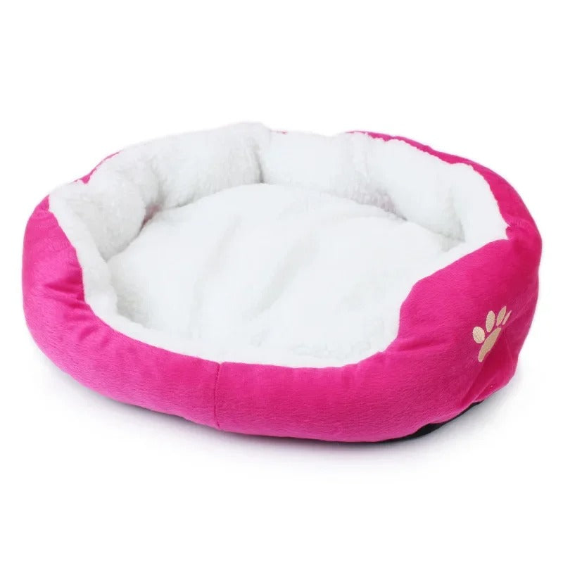 Teddy Bichon Pet Bed